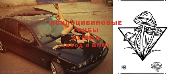 spice Алексин